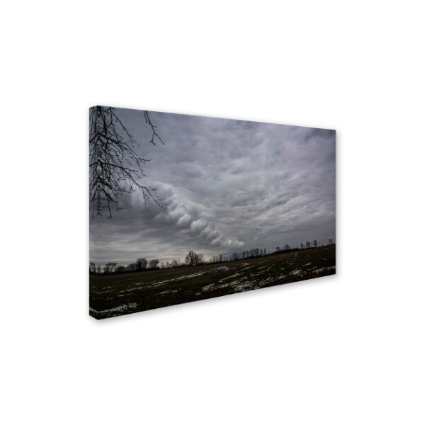 Kurt Shaffer 'Country Clouds' Canvas Art,16x24